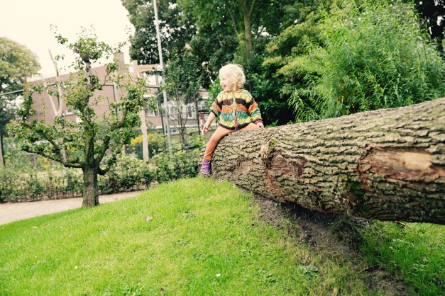 boomstam natuurspeeltuin