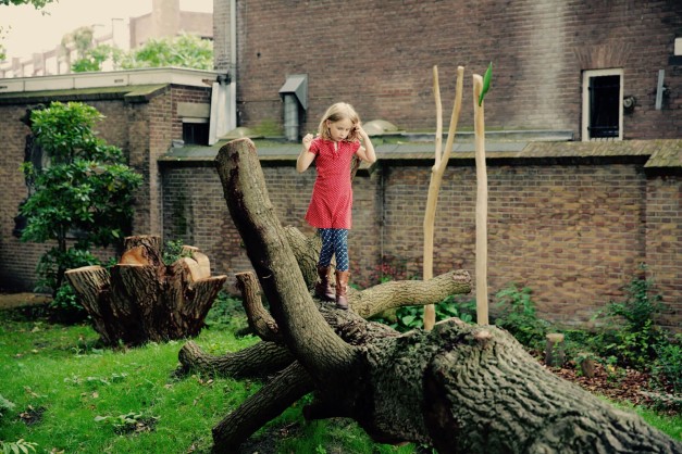 natuurspeeltuin boomstam